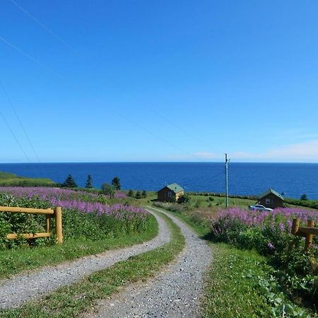 Les Chalets Brise-De-Mer Sainte-Therese-de-Gaspe Kültér fotó