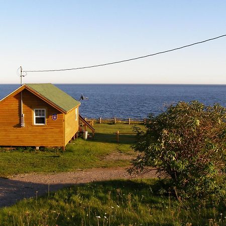 Les Chalets Brise-De-Mer Sainte-Therese-de-Gaspe Kültér fotó