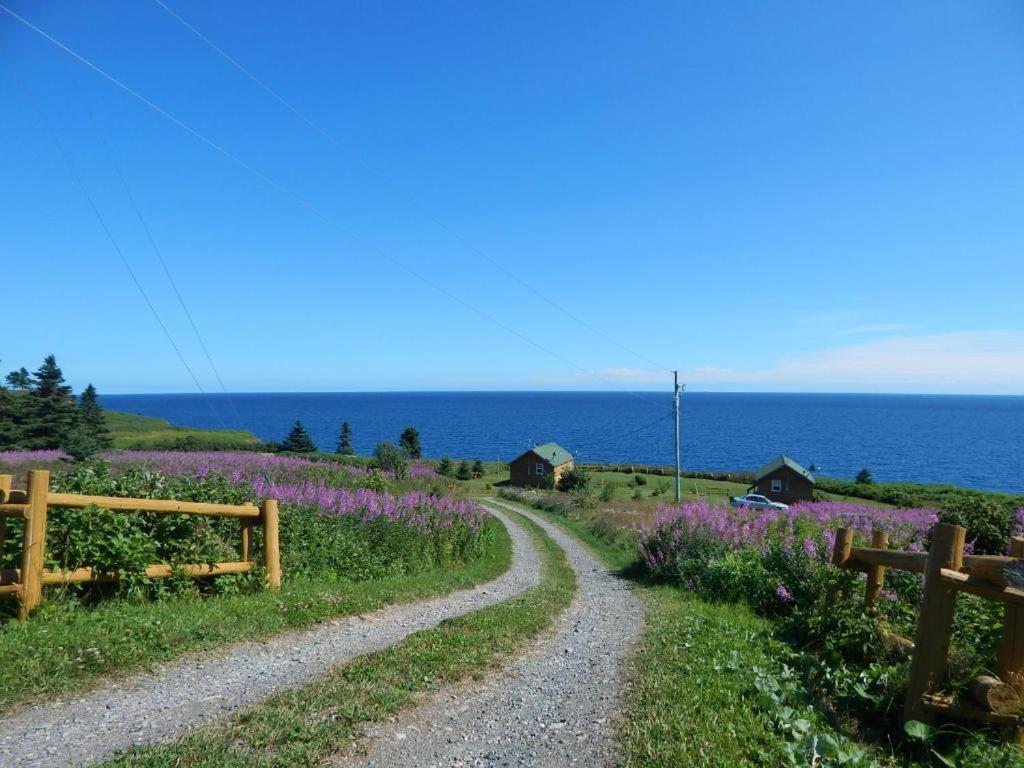 Les Chalets Brise-De-Mer Sainte-Therese-de-Gaspe Kültér fotó