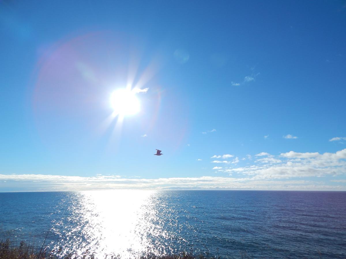 Les Chalets Brise-De-Mer Sainte-Therese-de-Gaspe Kültér fotó